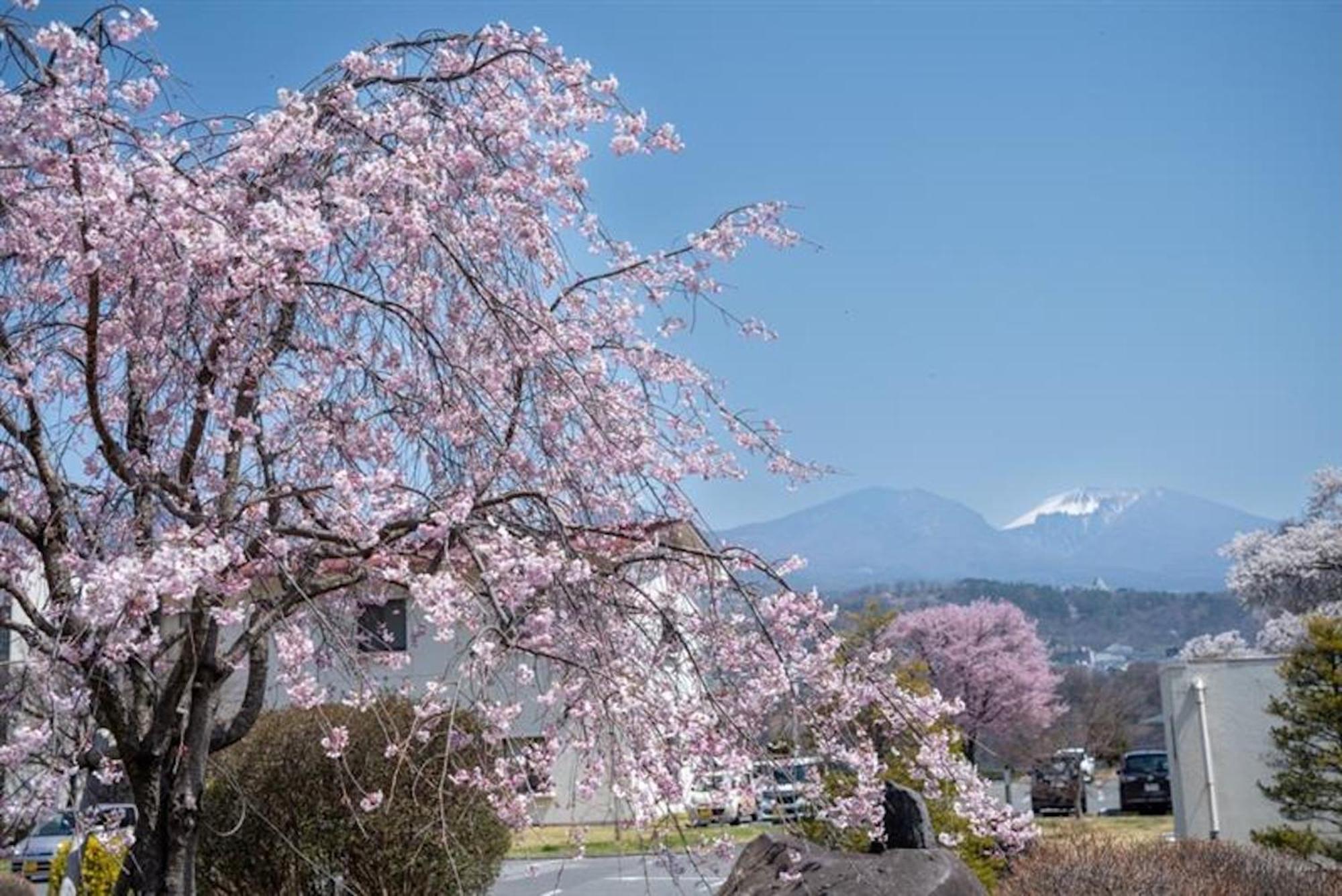 Nunohiki Onsen Komoro Kültér fotó