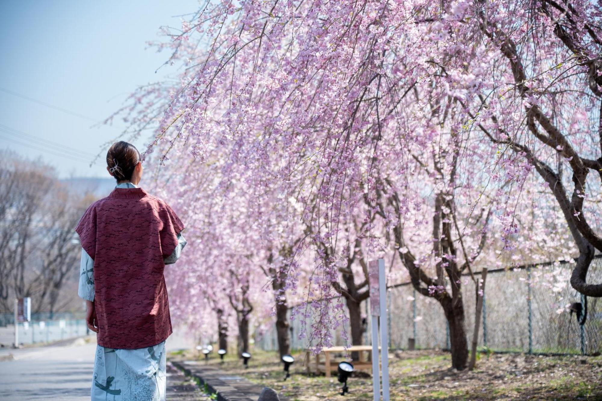 Nunohiki Onsen Komoro Kültér fotó