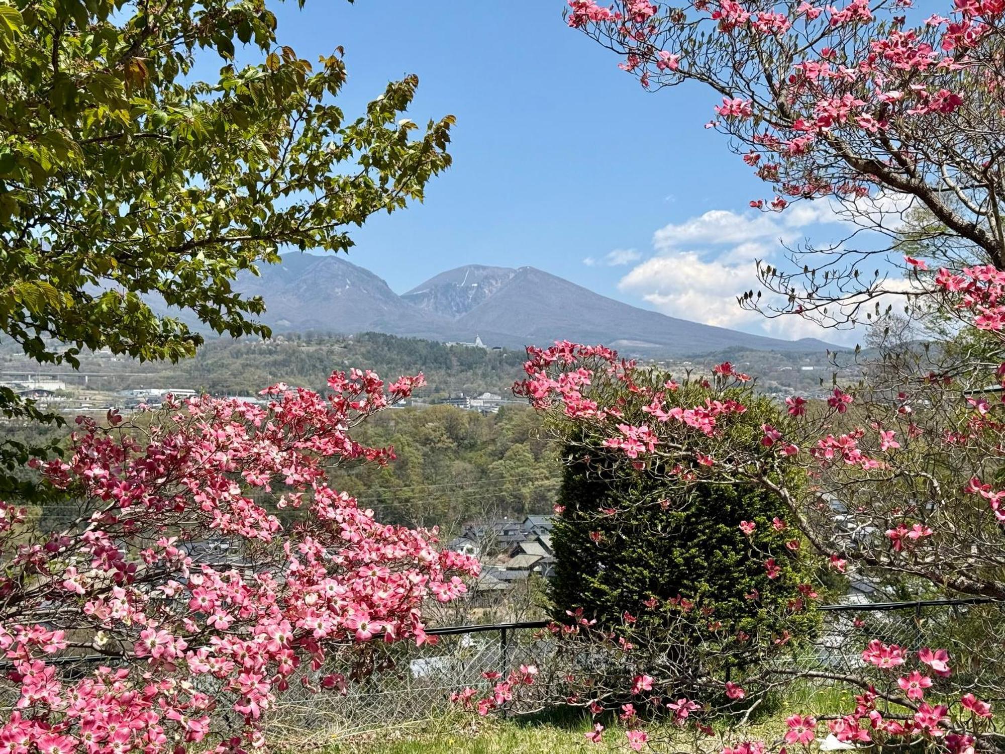 Nunohiki Onsen Komoro Kültér fotó